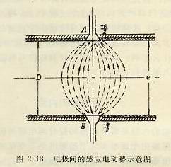電極間的感應電動勢示意圖